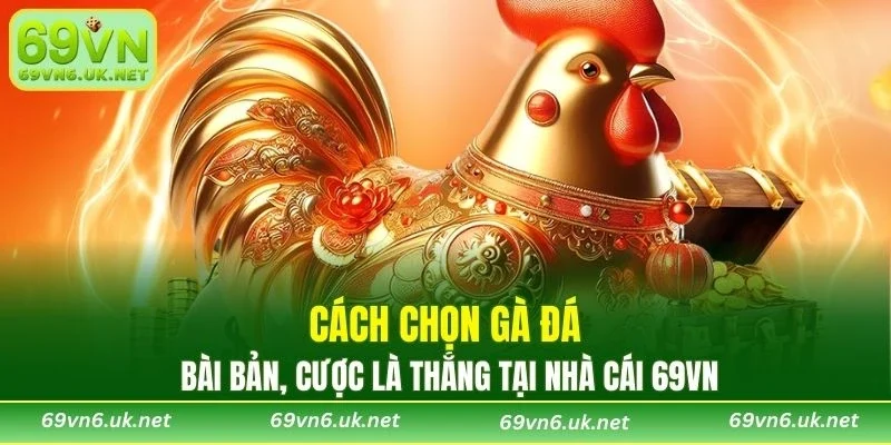 Cách Chọn Gà Đá