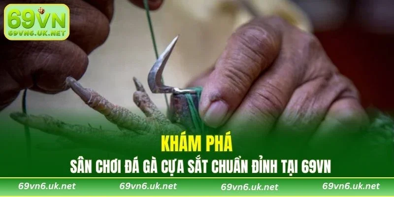 Khám phá sân chơi đá gà cựa sắt chuẩn đỉnh tại 69VN